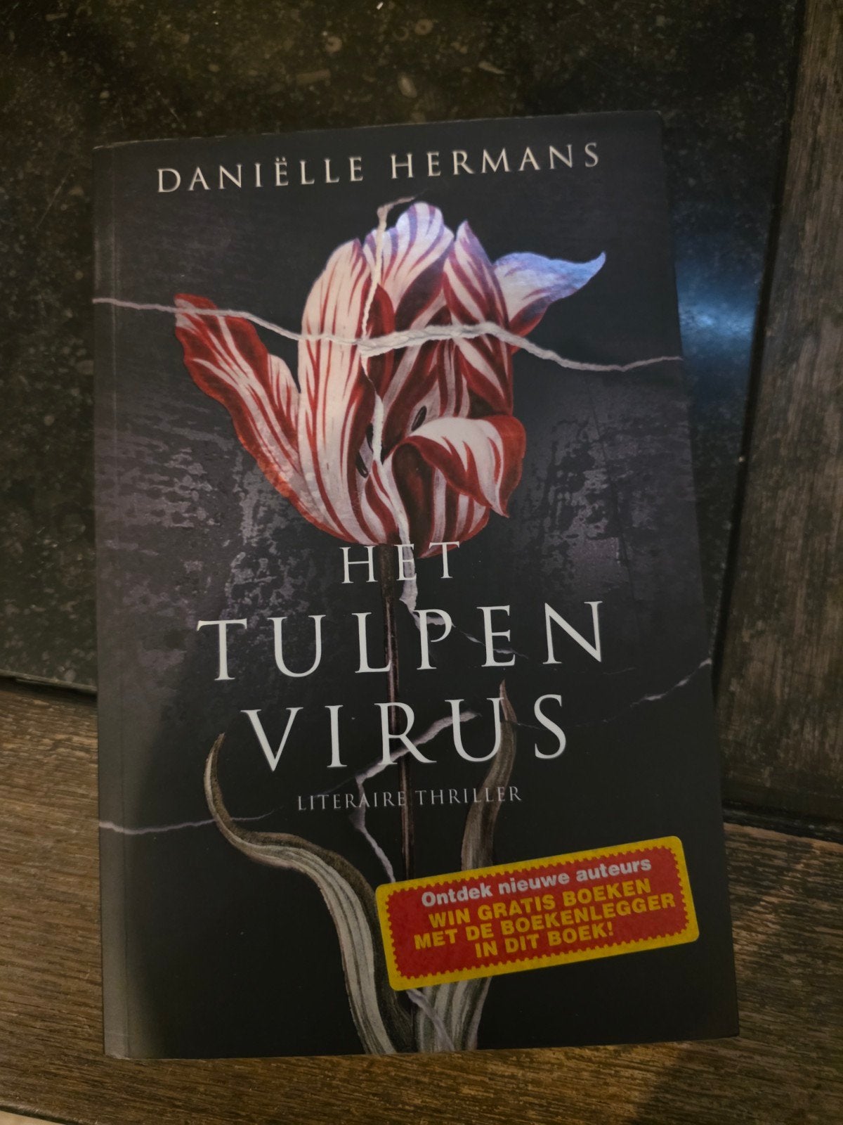 Het Tulpenvirus - Daniëlle Hermans (Literaire Thriller), Boeken, Ophalen of Verzenden, Zo goed als nieuw, Daniëlle Hermans, Nederland