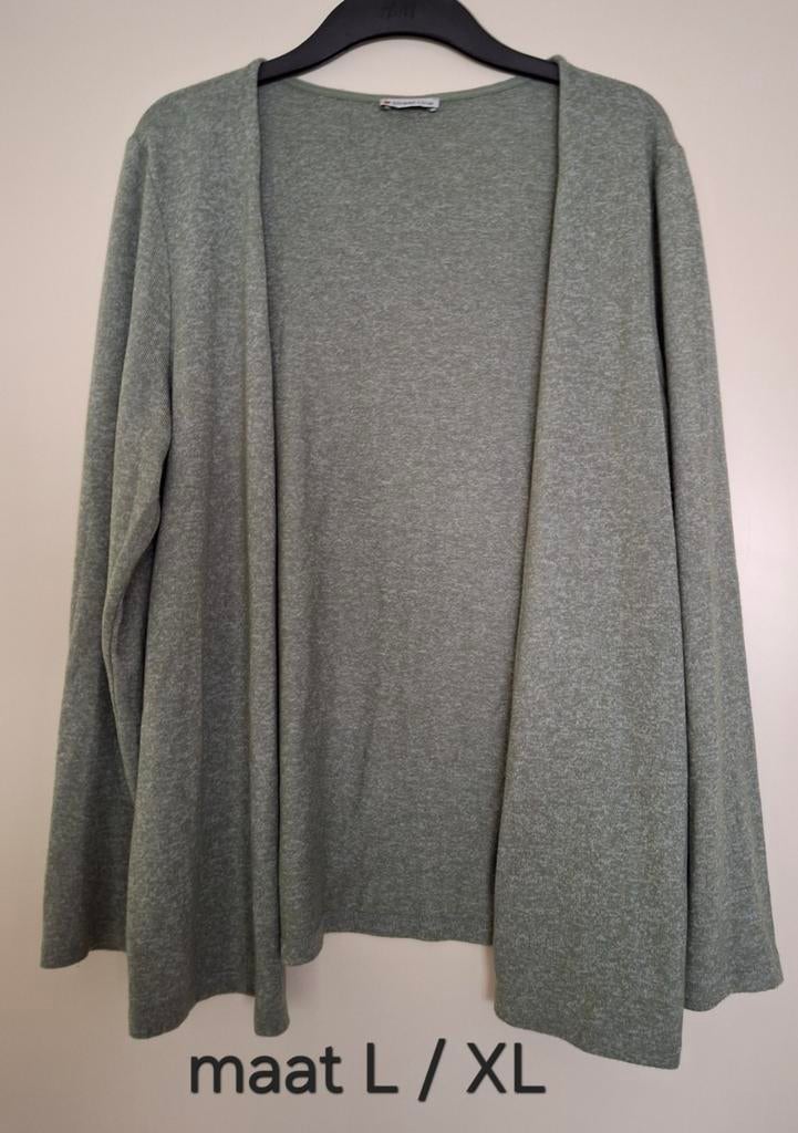 Vest, Ophalen of Verzenden, Zo goed als nieuw, Groen, Trui of Vest