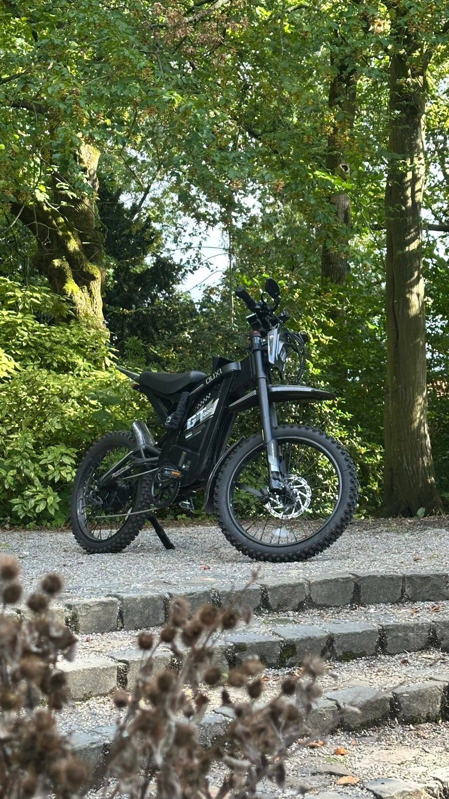 Elektrische Fatbike - Uitstekende staat, 55 tot 59 cm, Ophalen, Zo goed als nieuw, 50 km per accu of meer