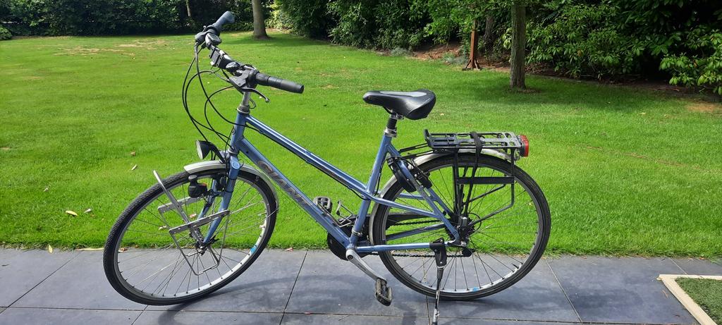 Giant Expedition, Fietsen en Brommers, Ophalen, 28 inch, Giant, Meer dan 20 versnellingen