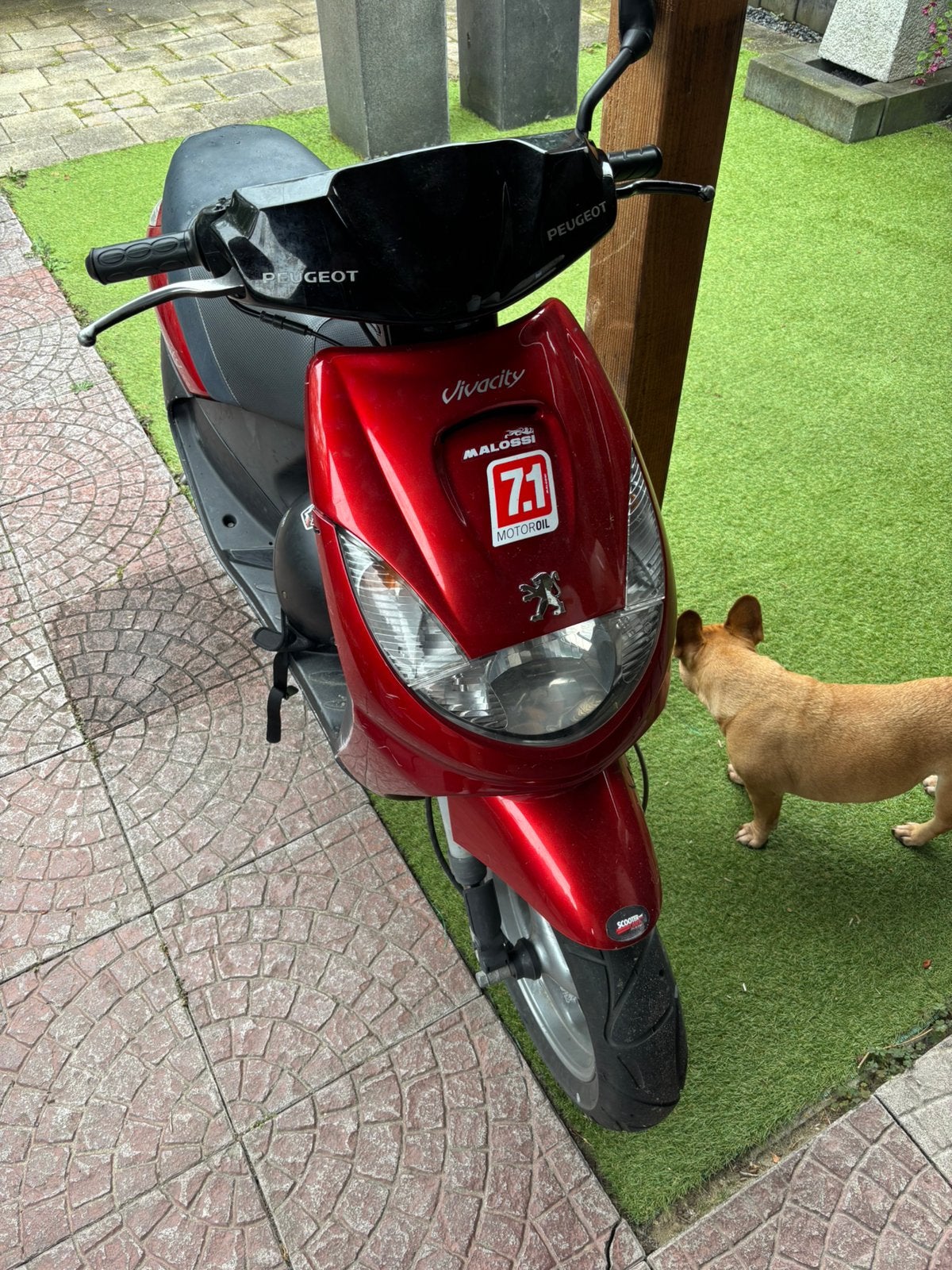Vivacity 70 cc race setup gereviseerd met maar 6500 km, Ophalen, Zo goed als nieuw, Tweetakt, Vivacity