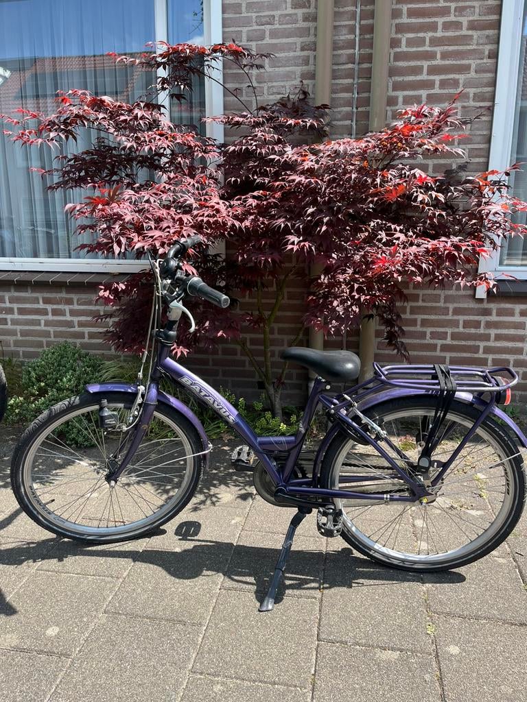 Batavus rollercoaster 24”, Ophalen, Gebruikt, Versnellingen, Batavus