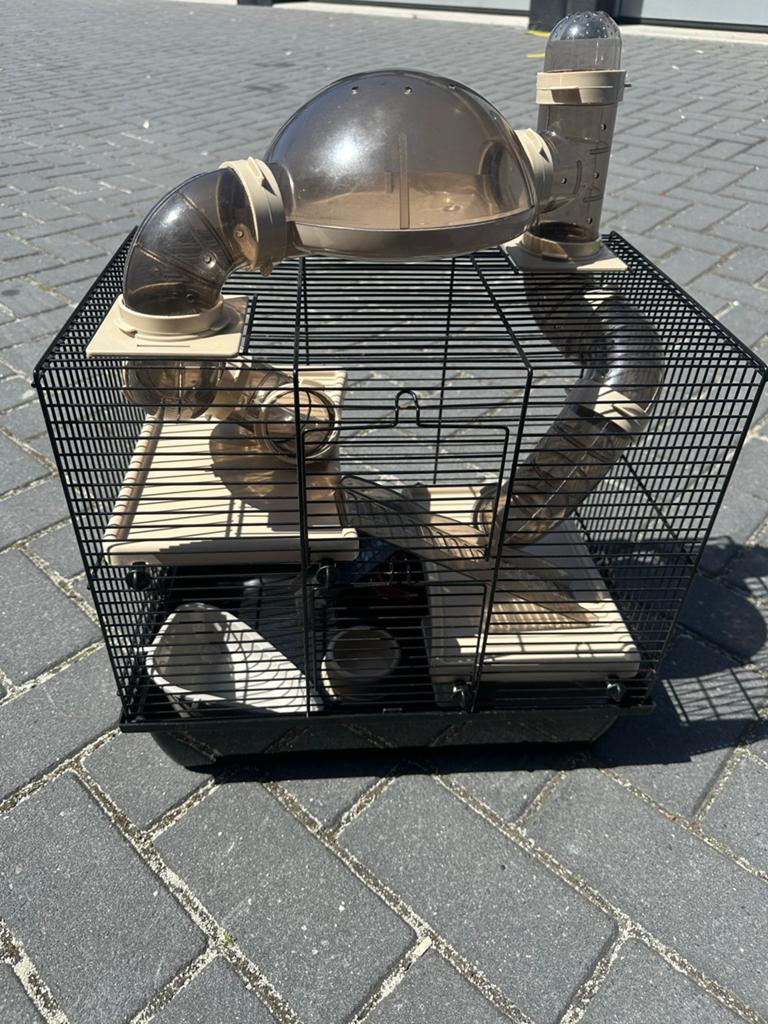Hamsterkooi, Kooi, Gebruikt, Minder dan 75 cm, Ophalen