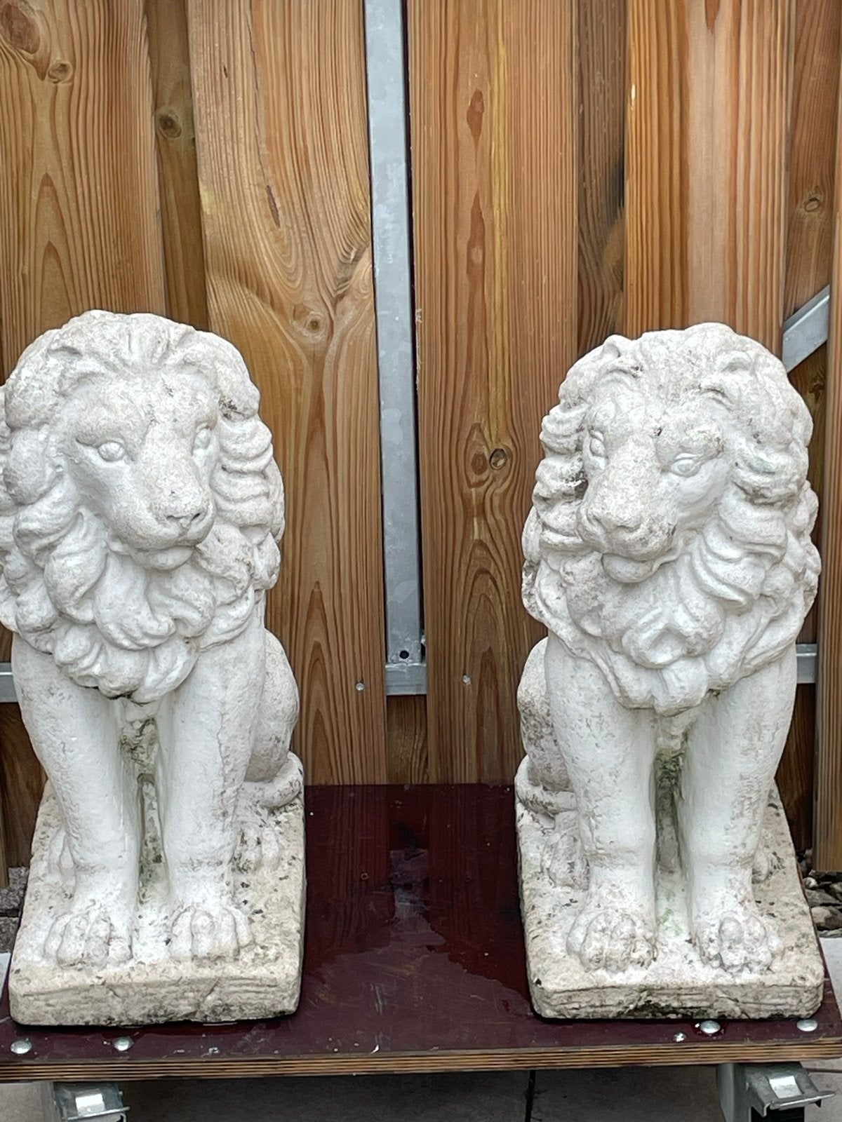 Prachtige leeuwenbeelden set, kijken naar elkaar, Tuin en Terras, Tuinbeelden, Ophalen, Gebruikt, Beton, Dierenbeeld