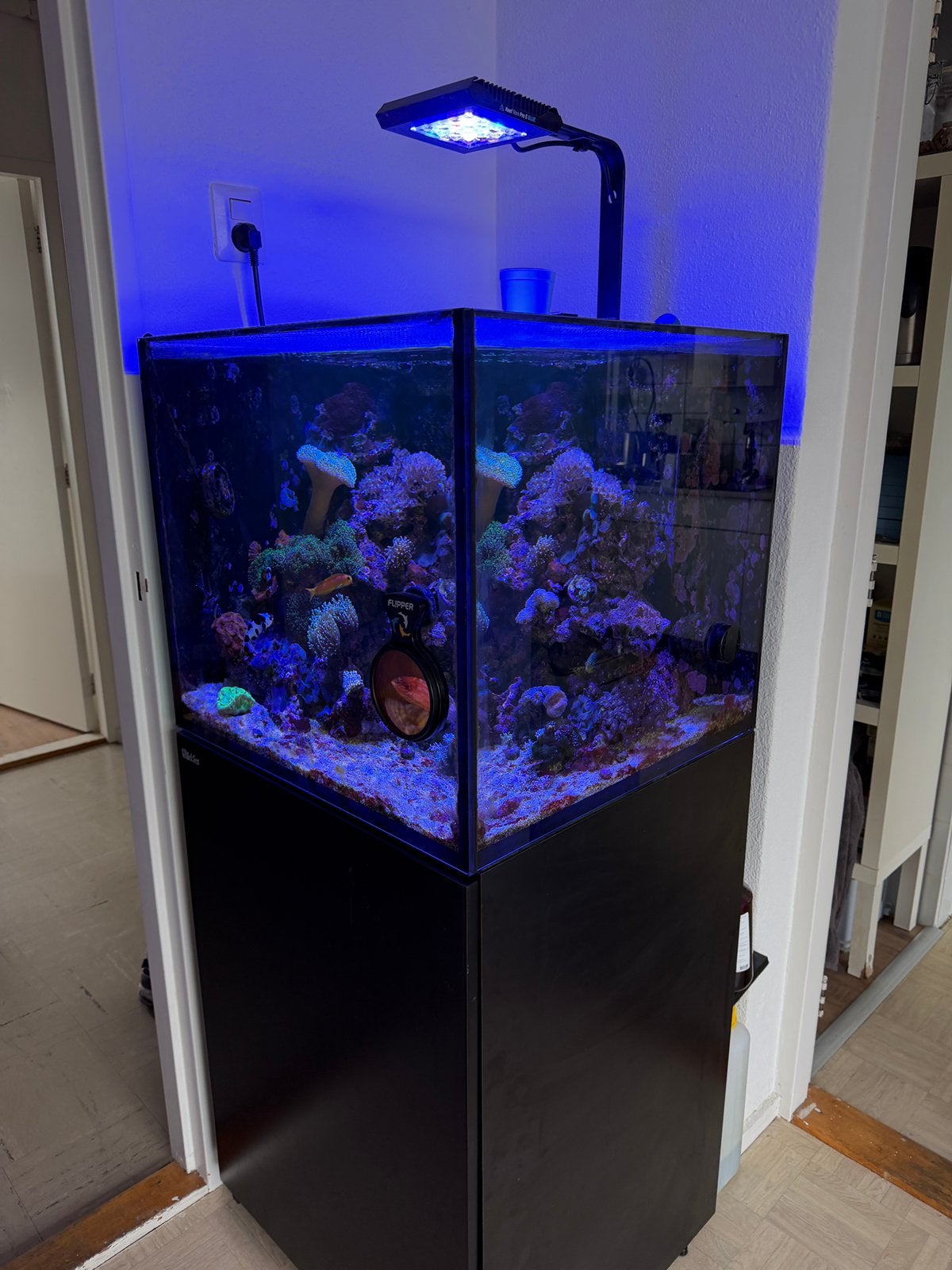 Start klaar red sea reefer 200XL zee aquarium, Dieren en Toebehoren, Ophalen, Red Sea, Gevuld zeewateraquarium, Zo goed als nieuw