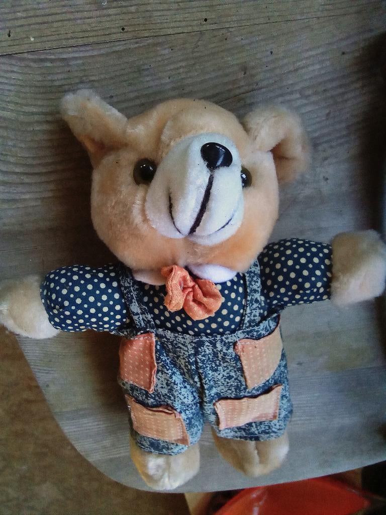 Knuffel beer, Kinderen en Baby's, Ophalen, Zo goed als nieuw, Beer, Klein (minder dan 20 cm)