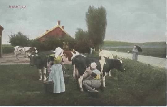 Zeeland Zuid-Beveland melktijd koeien klederdracht, Verzenden, Voor 1920, Ongelopen, Zeeland