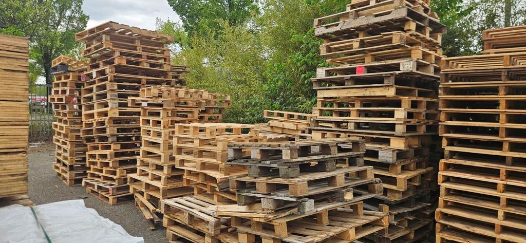 Gratis pallets Haarlem, Doe-het-zelf en Verbouw, Hout en Planken, Pallet, Overige houtsoorten, Minder dan 200 cm, Minder dan 25 mm