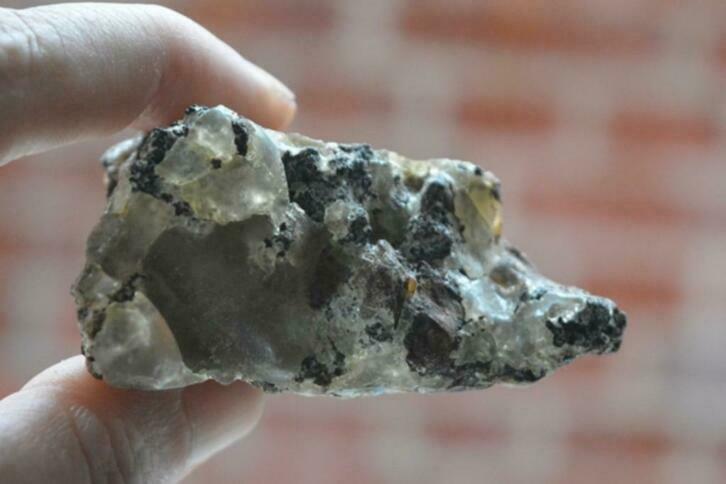 Barnsteen / Copal *nr. 1.1*, Nieuw, Ophalen of Verzenden, Nvt, Nvt