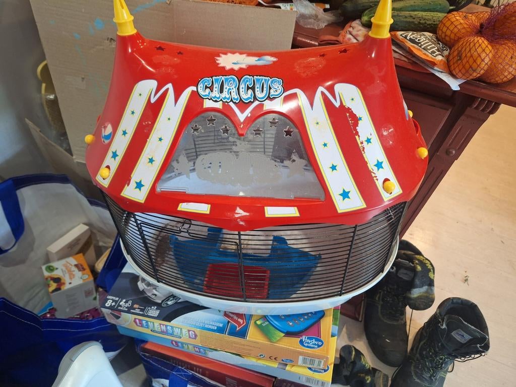 Hamster/cavia circus kooi, Dieren en Toebehoren, Ophalen, Kooi, Cavia, Minder dan 60 cm