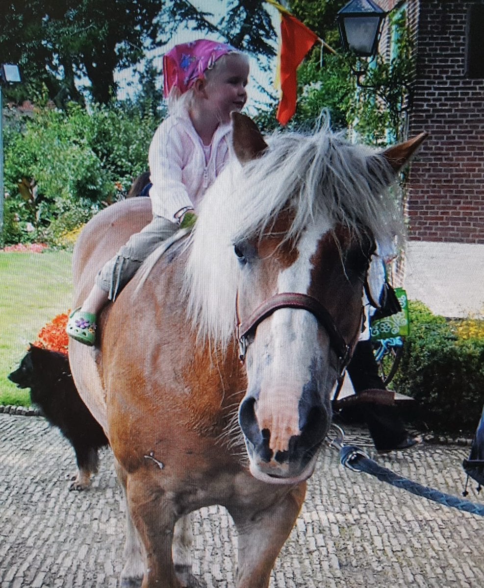 Verzorger aangeboden, Ophalen