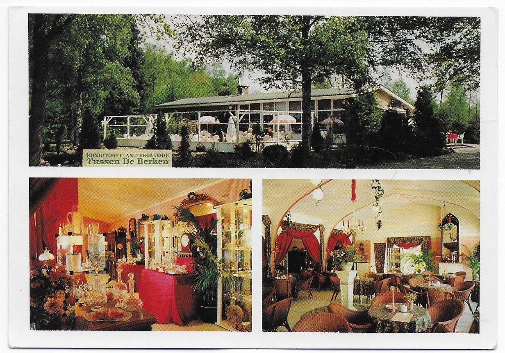 Gasselte Tussen de Berken Gelopen Ansichtkaart ( B5647), Ophalen of Verzenden, 1980 tot heden, Gelopen