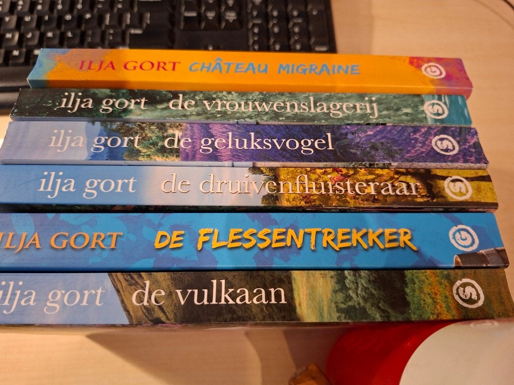 6 Boeken Ilja Gort. Nieuw., Ophalen of Verzenden, Zo goed als nieuw, Nederland, Ilja Gort