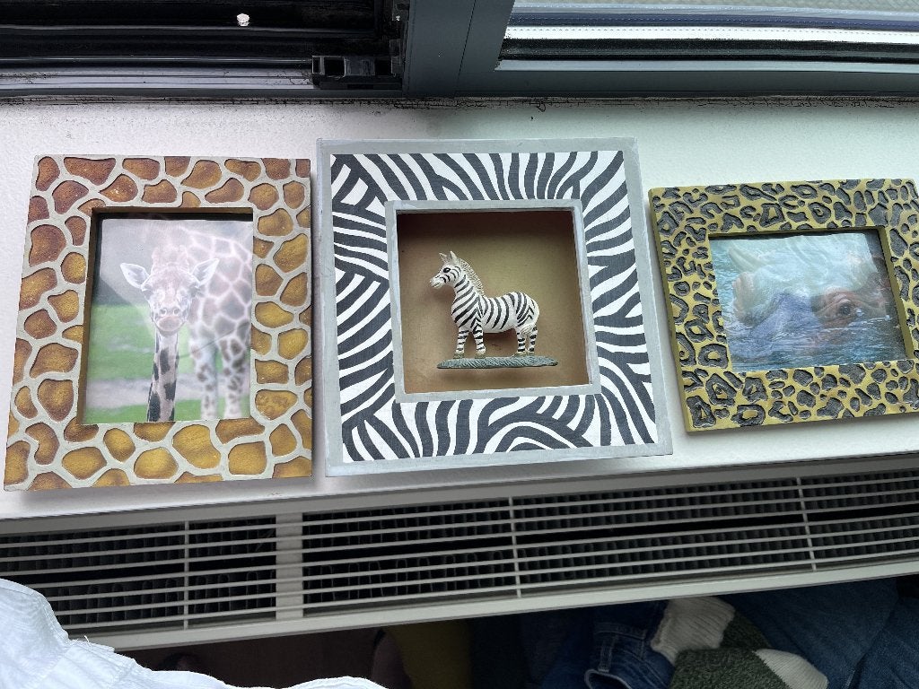 drie lijsten met dierenprint voor bijv. junglekamer, Ophalen of Verzenden, Zo goed als nieuw, Fotolijst, Meerkleurig