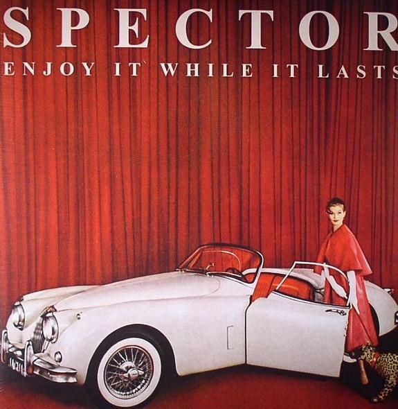 Spector, Ophalen of Verzenden, Gebruikt, Poprock