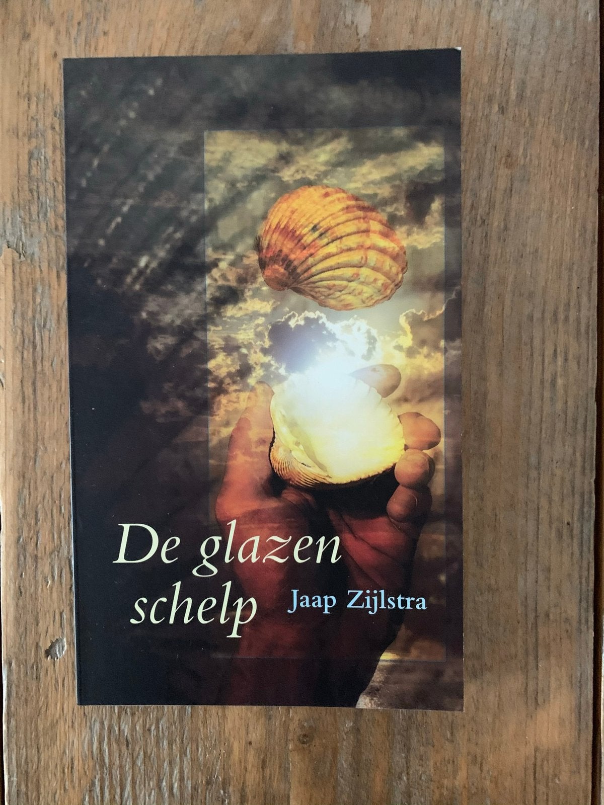 De glazen schelp van Jaap Zijlstra, Boeken, Ophalen of Verzenden, Zo goed als nieuw