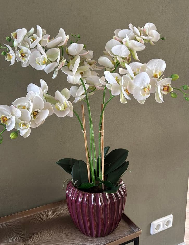 Grote kunst orchidee in pot, Ophalen, Kunstplant, Met pot of vaas, Wit
