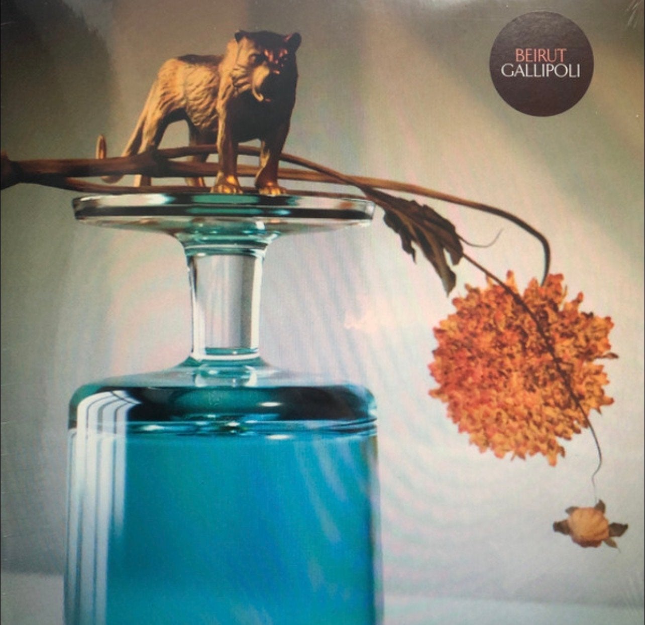 ✅ Beirut - Gallipoli (Limited Edition Clear Vinyl), Cd's en Dvd's, Vinyl | Pop, LP, Ophalen of Verzenden, Zo goed als nieuw, 12 inch