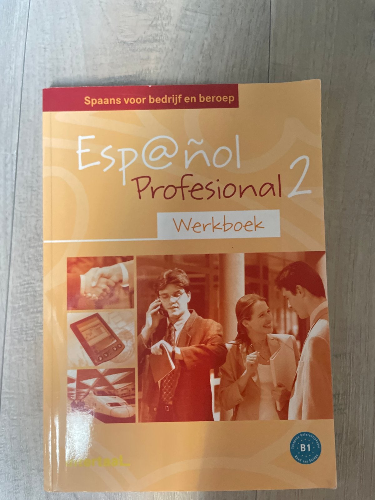 Español Profesional 2 Werkboek - Spaans voor bedrijf, Boeken, Taal | Spaans, Ophalen of Verzenden, Gelezen, Non-fictie