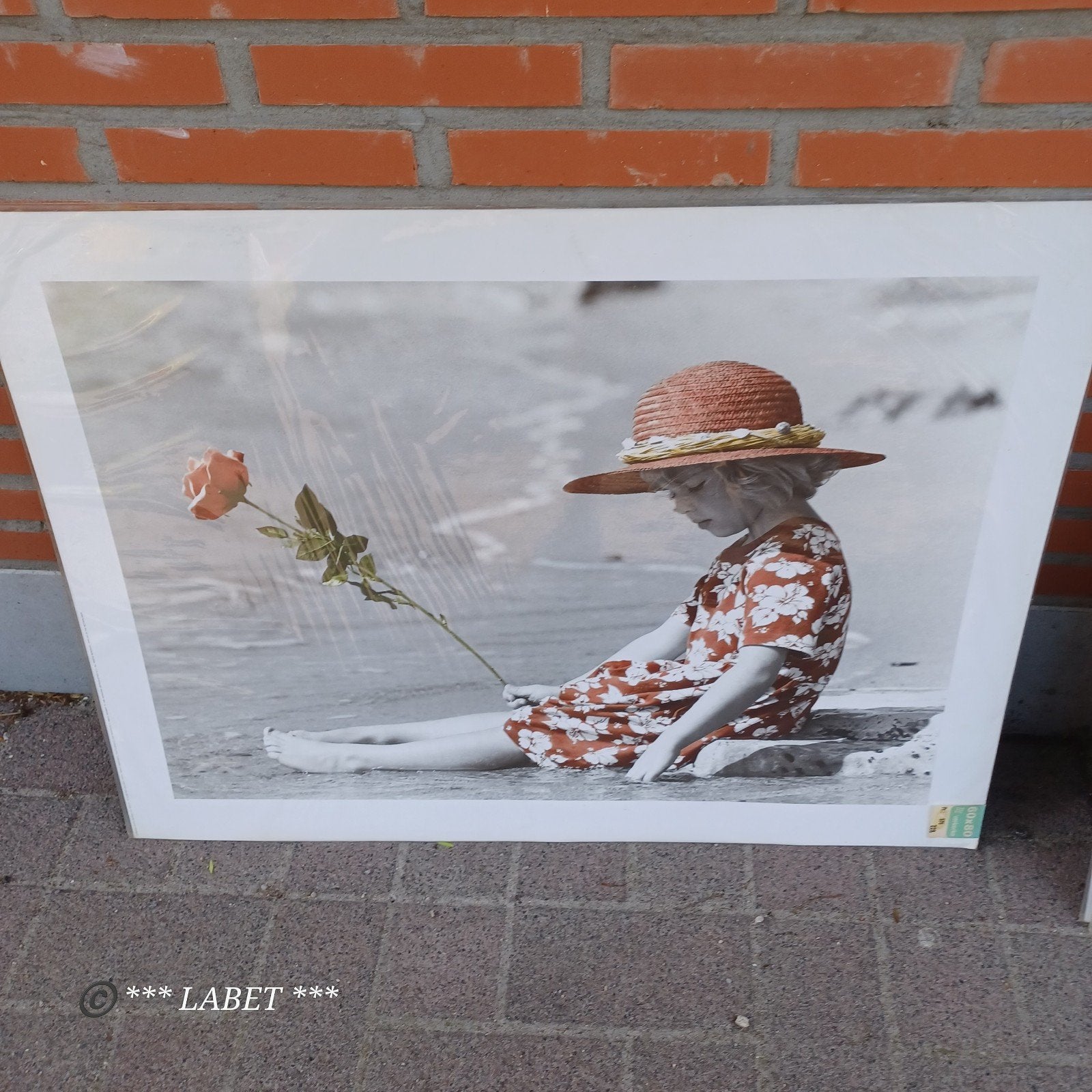 Poster foto, Verzenden, Minder dan 50 cm, Schilderij