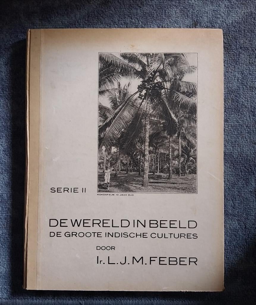 De Wereld in Beeld: De Grote Indische Cultures - Serie II, Ophalen of Verzenden, Gelezen