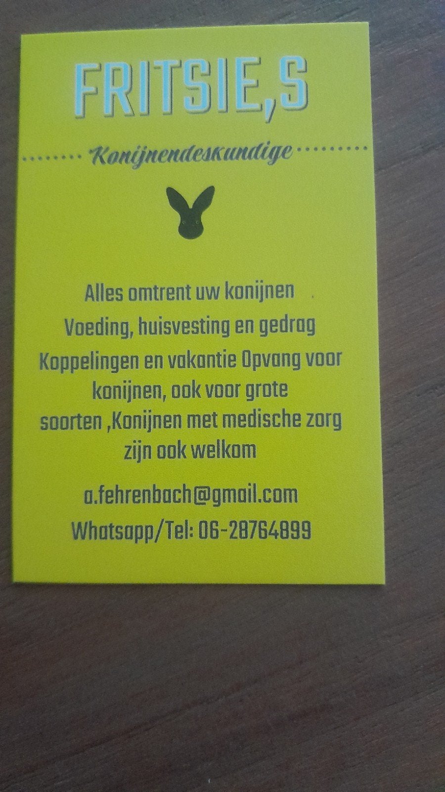 Ervaringsdeskundige met konijnen, Diensten en Vakmensen, Dieren | Overige | Verzorging, Oppas en Les