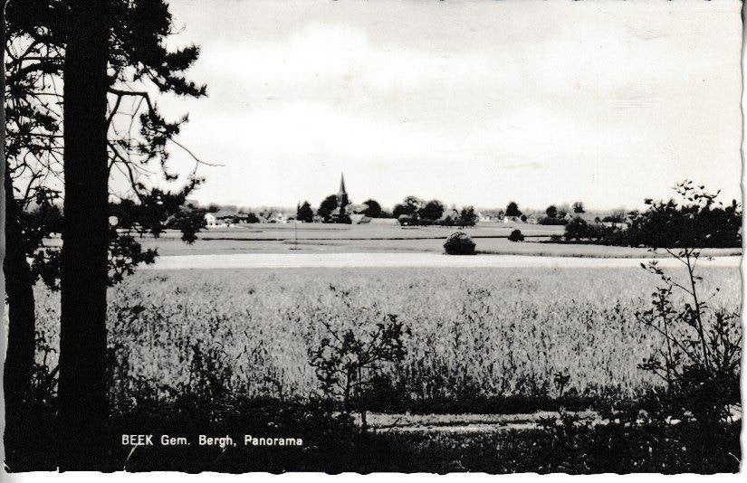 BEEK - PANORAMA VOSSENHUT, Verzamelen, Ansichtkaarten | Nederland, Ophalen of Verzenden, Ongelopen, Gelderland