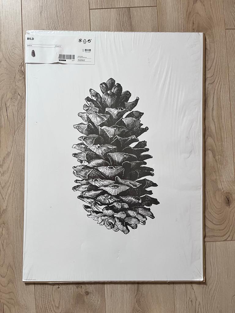 Poster Dennenappel 50x70 cm - IKEA BILD, Huis en Inrichting, Ophalen of Verzenden, Nieuw, Foto of Poster, 50 tot 75 cm