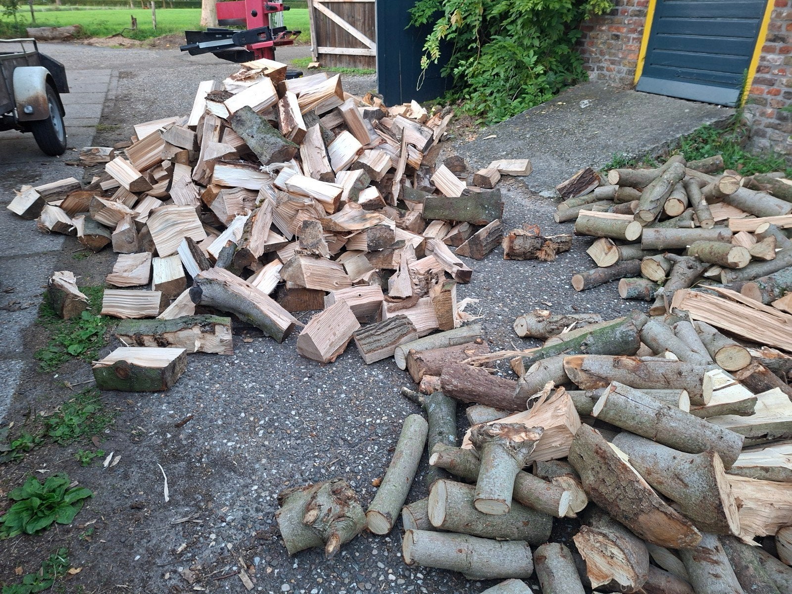 vers gekloofd kachelhout, Tuin en Terras, Minder dan 3 m³, Ophalen of Verzenden, Eikenhout, Blokken
