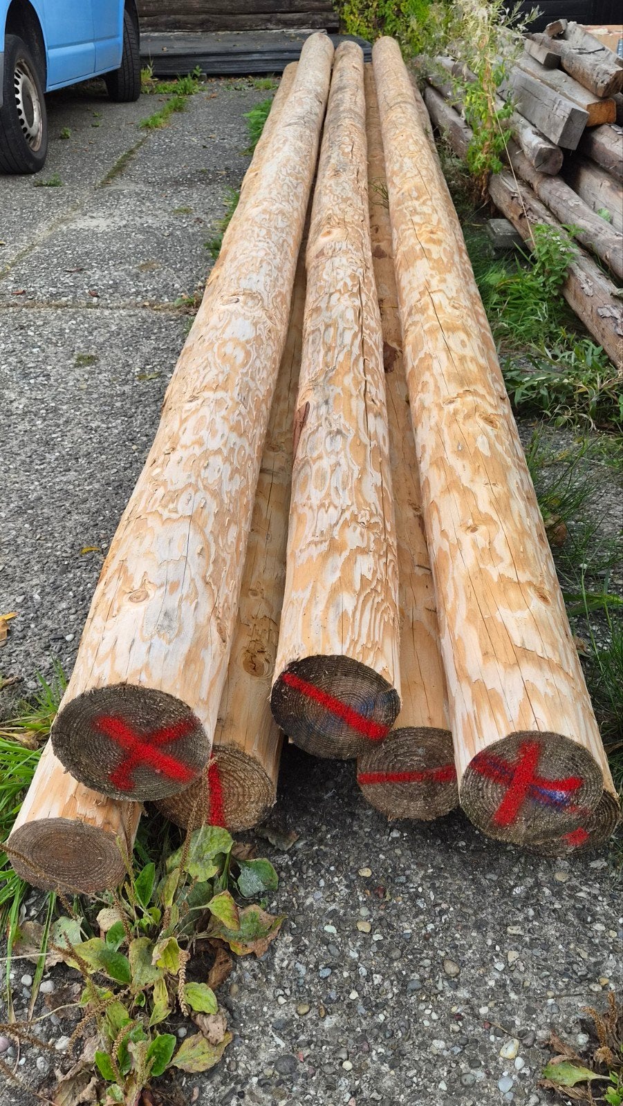Douglas sporen PO13-15, 7 stuks, lengte 710cm, Ophalen, Nieuw, 250 cm of meer, Palen