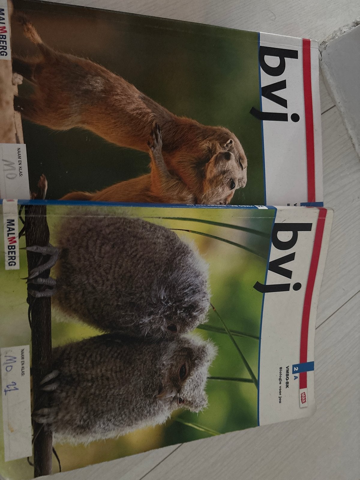 Biologie voor jou VMBO-BK 2A - Malmberg, Boeken, Ophalen of Verzenden, Gelezen, VMBO, Biologie