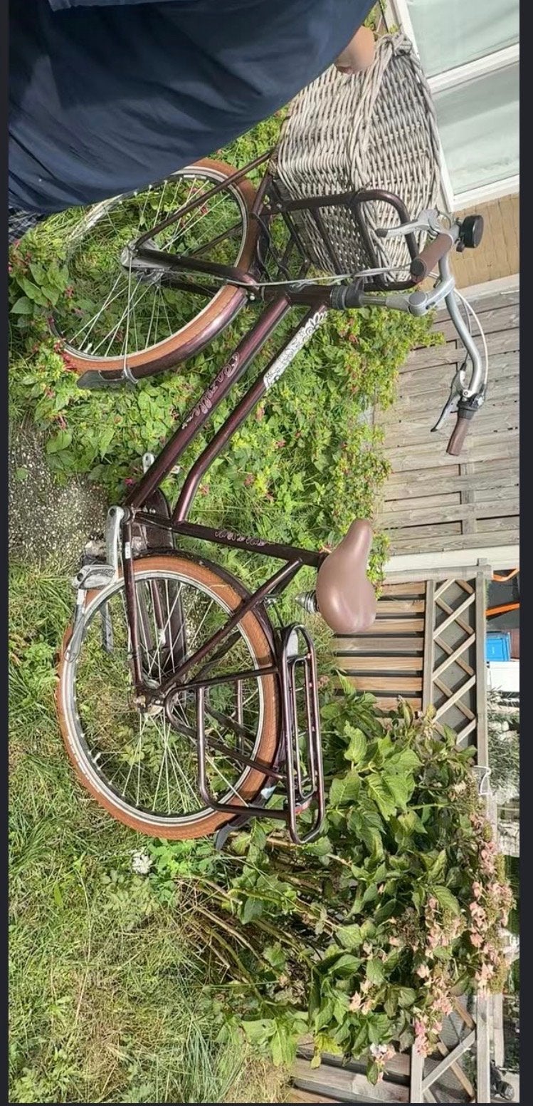 Mooie tweedehands fiets met mand, Fietsen en Brommers, Gebruikt, Velgrem, Versnellingen, 50 tot 53 cm