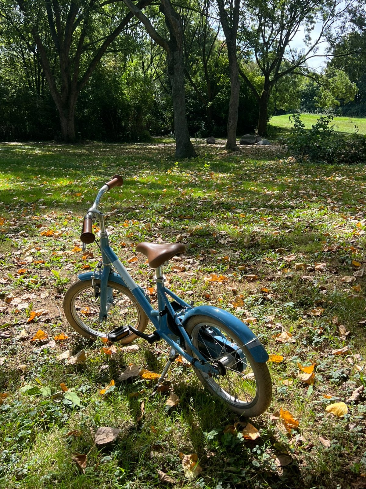 Veloretti kinderfiets, Ophalen, Zo goed als nieuw, Terugtraprem, Minder dan 16 inch