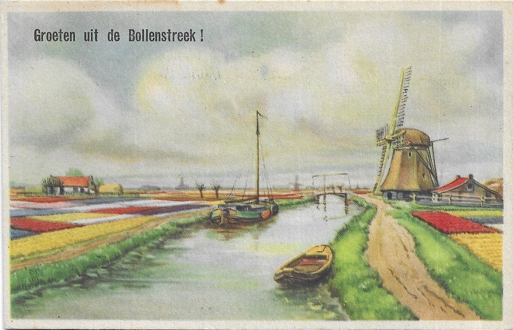 AK Bollenvelden - Groeten uit de Bollenstreek !, Verzenden, Voor 1920, Ongelopen, Natuur