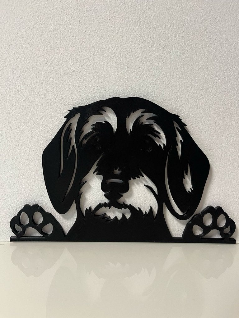 Ruwharige Teckel / Dachshund Wanddecoratie – Ca. 25 cm, Zwart, Ophalen of Verzenden, Kunststof, Modern