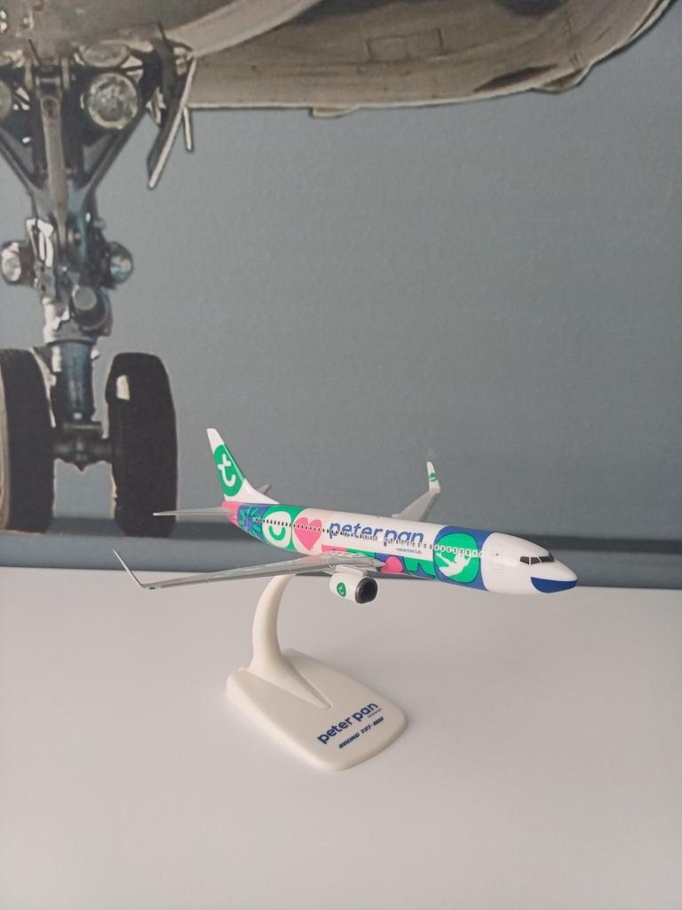 Transavia Boeing 737-800 peter pan, Hobby en Vrije tijd, Modelbouw | Vliegtuigen en Helikopters, Overige merken, 1:200 of kleiner