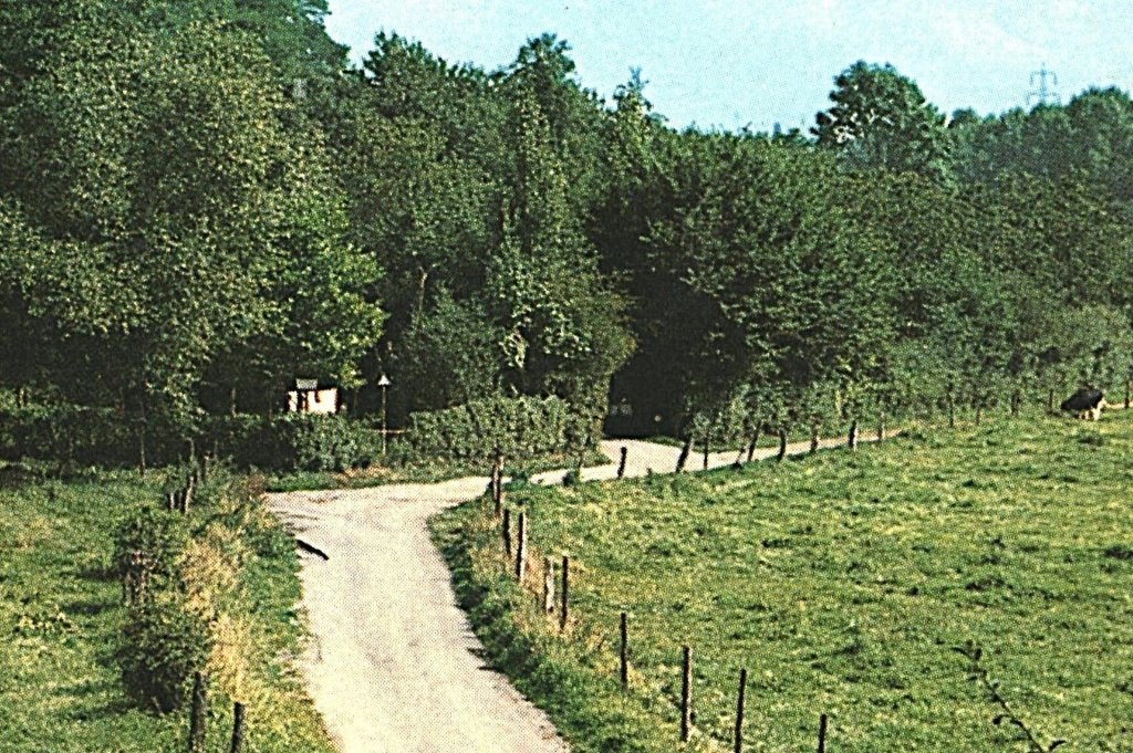 36961 Sint Geertruid 80+  Limburg Gelopen met postzegel, Ophalen of Verzenden, 1980 tot heden, Gelopen, Limburg