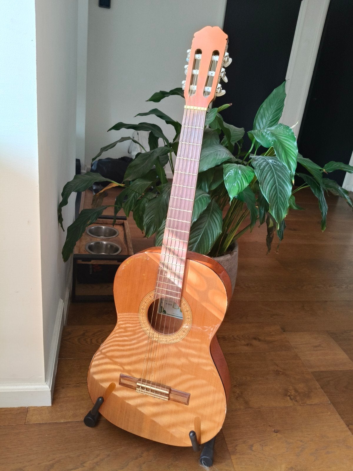 Klassieke gitaar met standaard - Gebruikt, Ophalen, Gebruikt, Klassieke of Spaanse gitaar