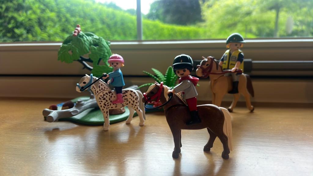 Playmobil ponny rijles bij de rivier, Ophalen of Verzenden, Zo goed als nieuw