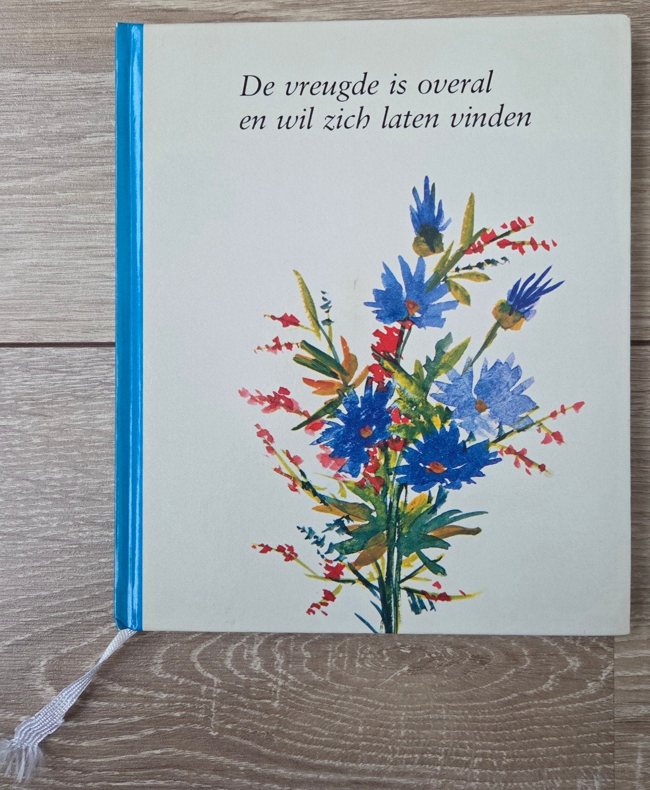 A. Schreiber - De vreugde is overal en wil zich laten vinden, Ophalen of Verzenden, Zo goed als nieuw, Anna Schreiber