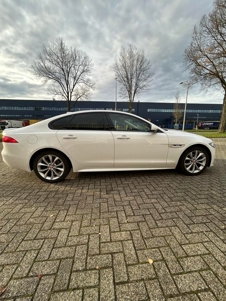 Jaguar xf 2.0, Auto's, Euro 6, 4 cilinders, Wit, XF