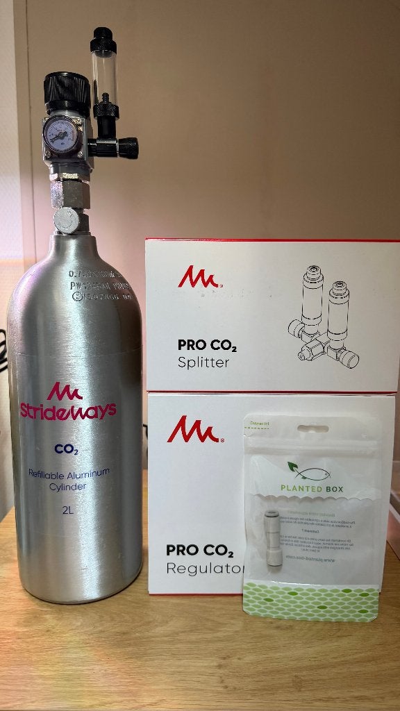 Strideways CO₂-set 2L met regulator, splitter en terugslagv., Dieren en Toebehoren, Ophalen of Verzenden, Inclusief slangen, Zo goed als nieuw