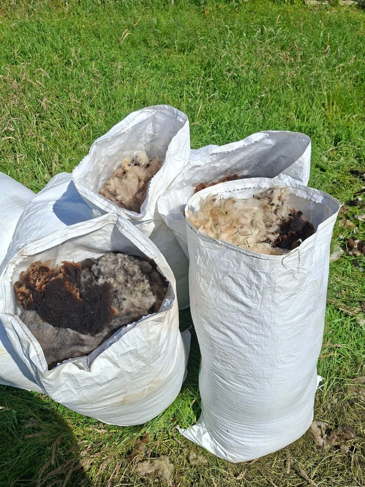 Bonte Schapenwol, Dieren en Toebehoren