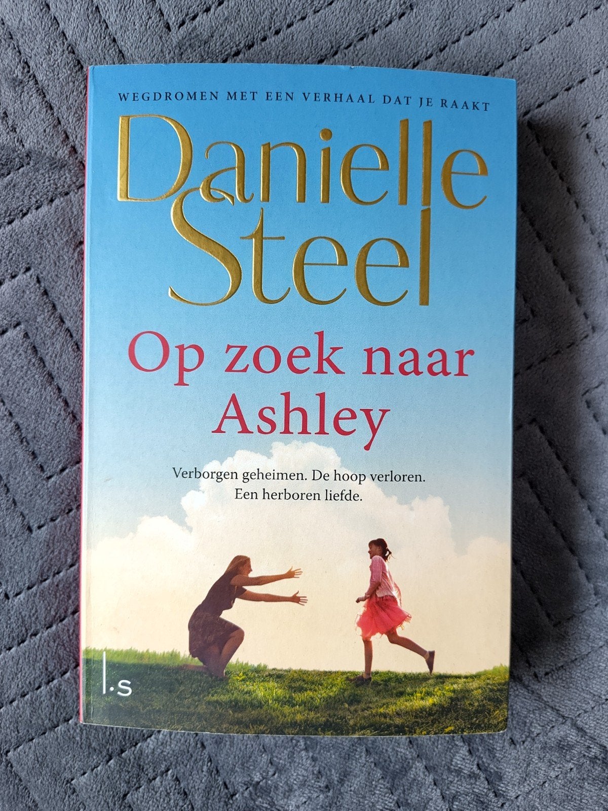Danielle Steel - Op zoek naar Ashley, Ophalen of Verzenden, Zo goed als nieuw, Danielle Steel