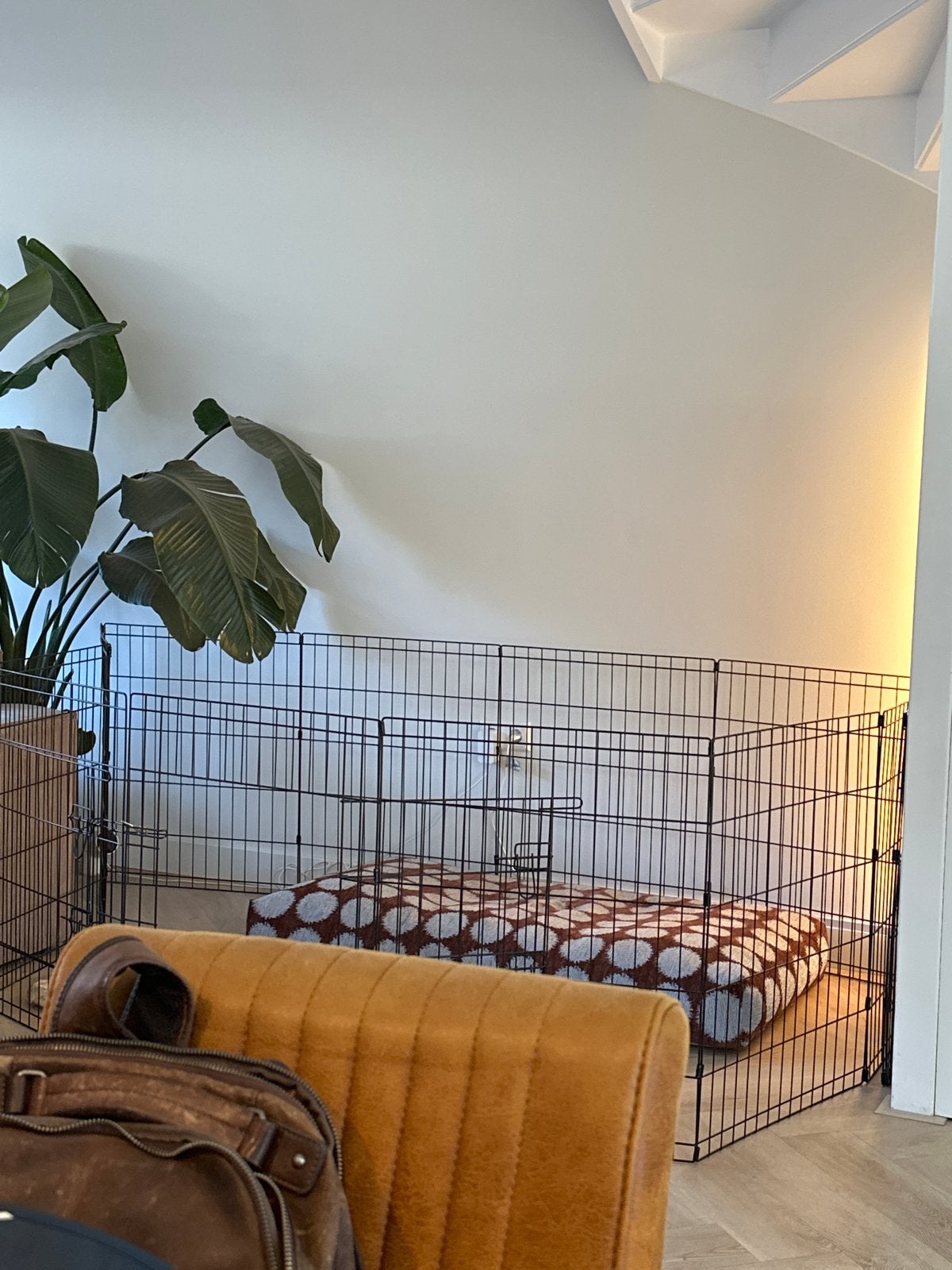Puppy ren, Ophalen, Zo goed als nieuw, 110 cm of meer, Minder dan 65 cm