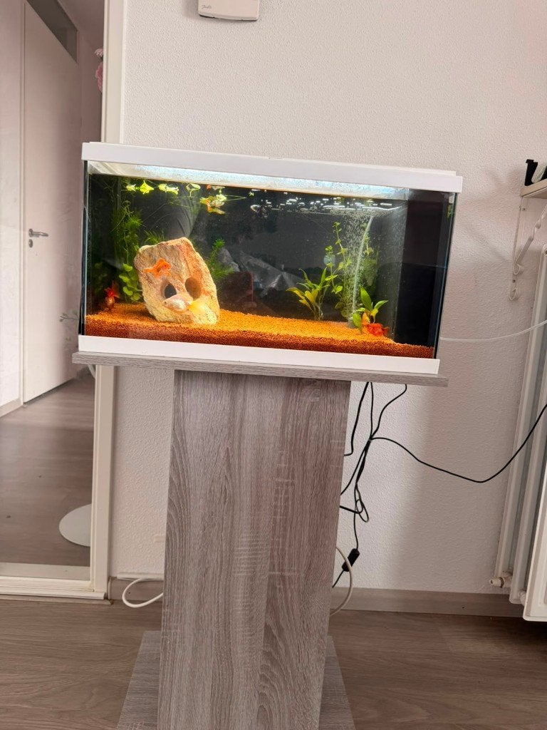 Aquarium, Dieren en Toebehoren, Vissen | Aquaria en Toebehoren, Nieuw, Overige merken, Ophalen of Verzenden, Leeg aquarium