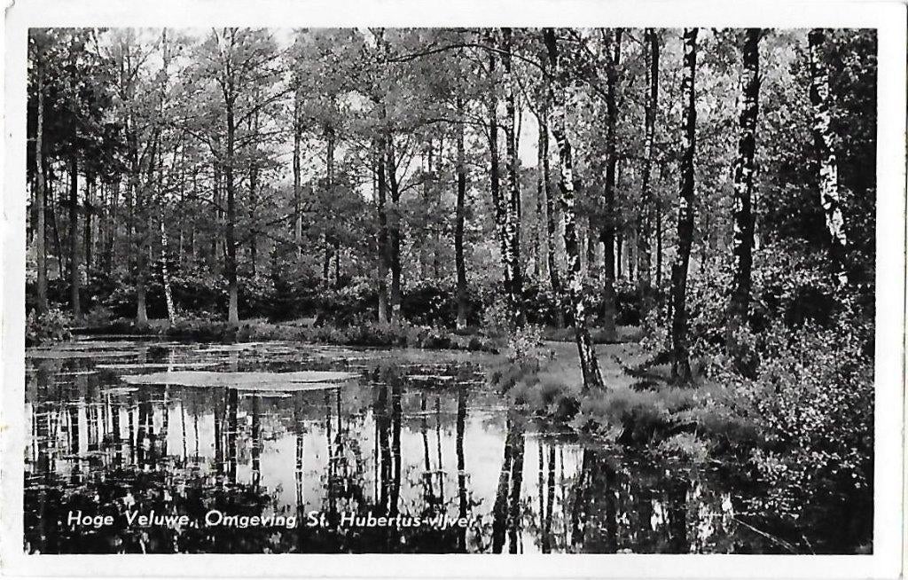 Hoge Veluwe St Hubertus Vijver Oude Ansichtkaart ( 8247 ), Verzenden, 1980 tot heden, Gelopen, Gelderland