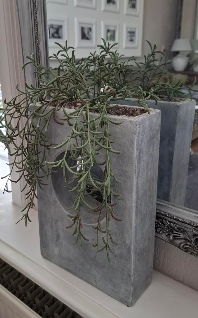 Bijzondere vaas/bak, met kunstplantjes.H43,B22,D7,5, Ophalen of Verzenden