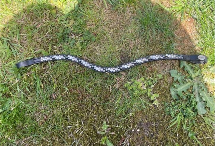 luxe frontriemen, Dieren en Toebehoren, Ophalen of Verzenden, Nieuw