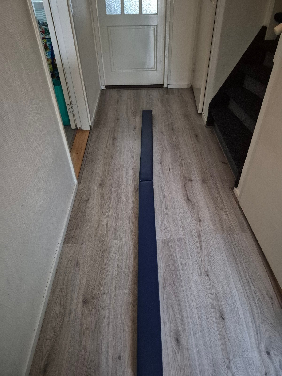 Degelijke groene opvouwbare turnbalk., Sport en Fitness, Turnen, Ophalen, Gebruikt, Maat 36 t/m 42, Blauw